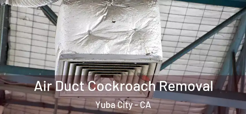 Air Duct Cockroach Removal Yuba City - CA