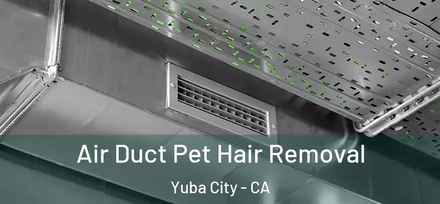 Air Duct Pet Hair Removal Yuba City - CA