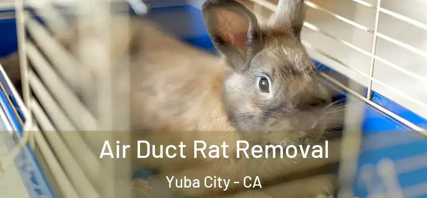 Air Duct Rat Removal Yuba City - CA