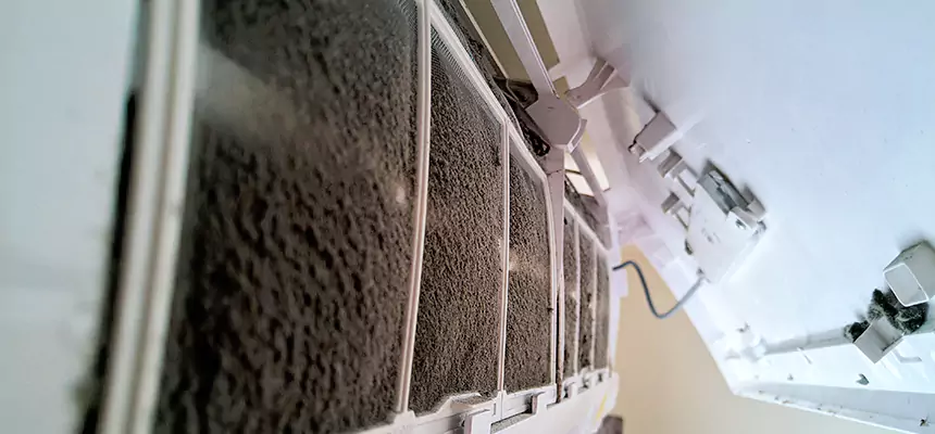 Preventive Air Duct Bacteria Removal in Yuba City