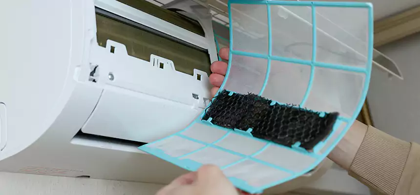 Gentle Ductwork Odor-Control Pet Dander Duct Cleaning in Yuba City, CA