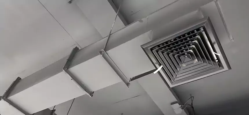 Our Rodent Droppings In Vents Services in Yuba City, CA