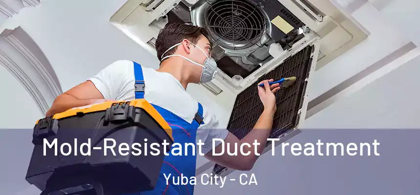 Mold-Resistant Duct Treatment Yuba City - CA