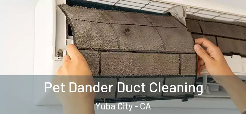 Pet Dander Duct Cleaning Yuba City - CA
