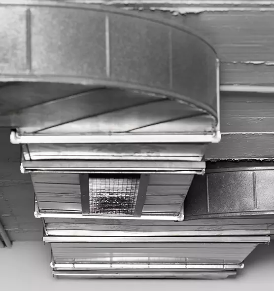 Professional Air Duct Pest Removal in Yuba City, CA