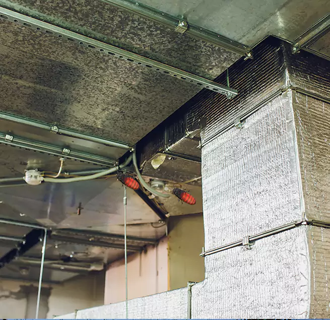 Why Homeowners & Businesses Trust Us in Yuba City, CA?