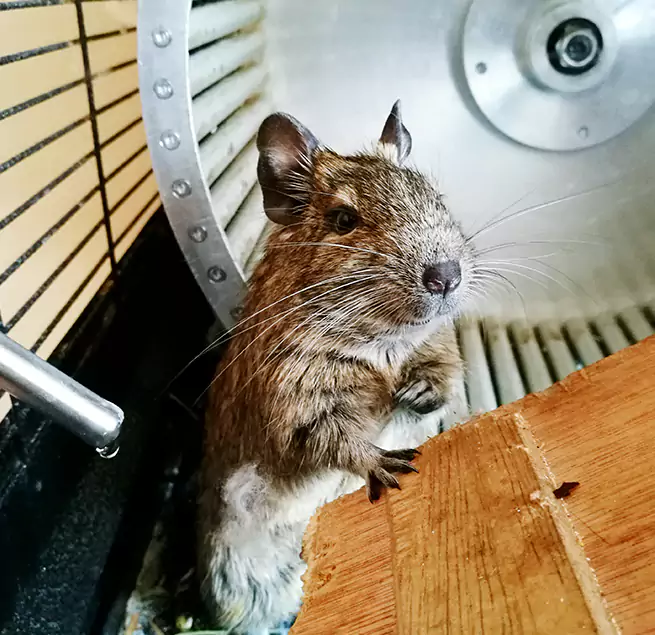 Why Homeowners & Businesses Trust Us Yuba City, CA